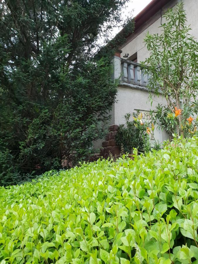 Kasza Villa Balatonfüred Exterior foto