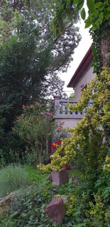 Kasza Villa Balatonfüred Exterior foto